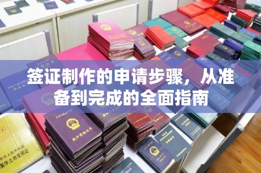 郸城签证制作的申请步骤，从准备到完成的全面指南